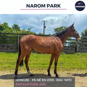 Magnifique ps bai – narom park – 5 ans