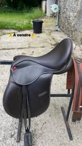 Selle pro saddle 