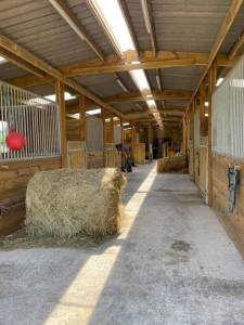 Pension box/paddock - écurie de mercelo (14 - tortisambert)