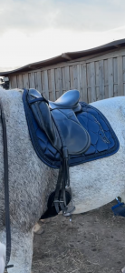 Selle dressage devoucoux 