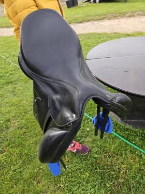 Sellede dressage forestier saumur 17