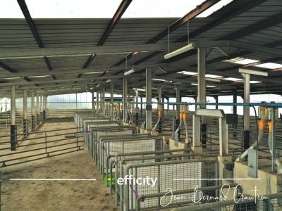 35 hectares - 3500 m² de hangars - ferme -155 m²