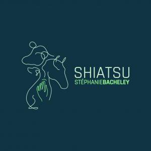 Shiatsu équin