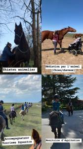 Shiatsu/ médiation par l'animal/ monitrice d'équitation