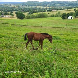 Onyx des arques sf par victor hugo 