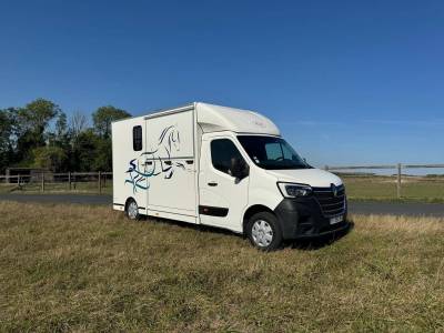 Horsebox hgv les vans acr pégase  2019 used