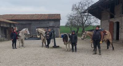 Pensions chevaux , poneys, ânes