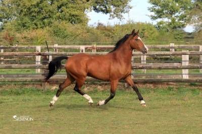 Jackpot de chambord 5ans d