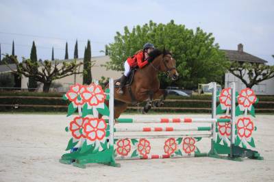 Top jument 7 ans pour amateur 