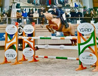 Poney de grand prix