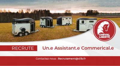 Sales - permanent contract full time - vosges france
