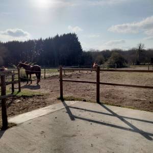 Pension pour chevaux familiale à etriché, 49