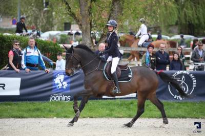 Top cheval maitre d'école pour children/cadet/junior