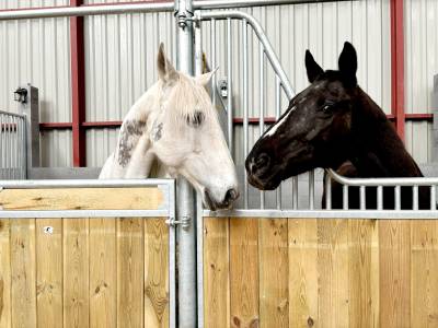 Pension box paddock pré - 77 