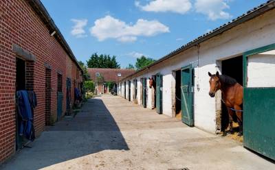 Ecurie de valorisation ou sport au pied du haras du pin