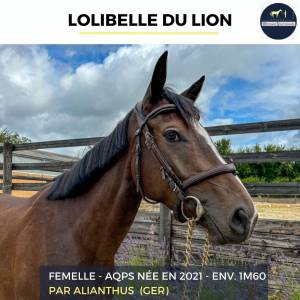 Mare aqps for sale 2021 bay