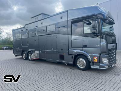 Camion per cavalli daf xf 460 2019 nuovo