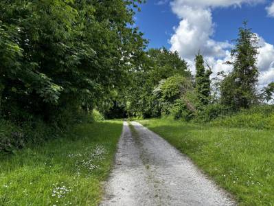 Haras, saint lô, 10 hectares