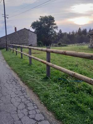 Pension cheval périodes vacances scolaire 