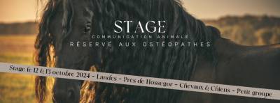 Stage communication animale landes pour ostéopathes