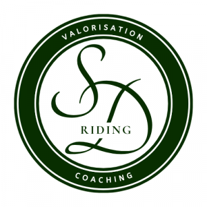 Sd riding - pension travail et coaching au sud de caen