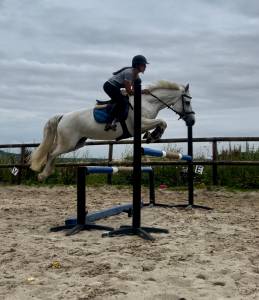 Ponette d 1m45 pp