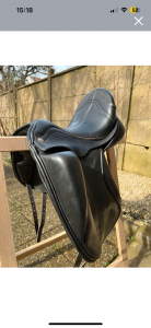 Zaldi r-dynamic dressage 