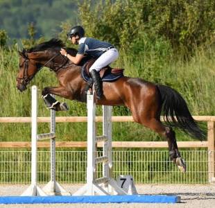 à vendre : killer de brixey - grand prix 125 