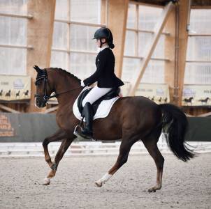 Poney de dressage à louer