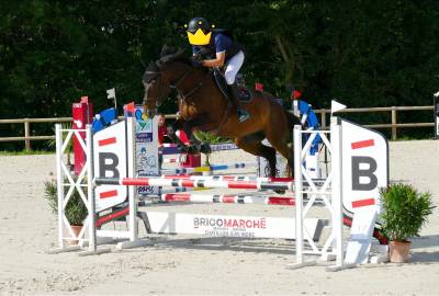 Top cheval amateur à un prix attractif