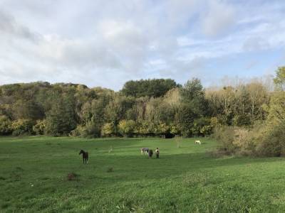 Pension pré dans un cadre idyllique !