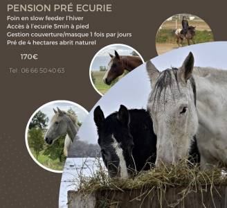 Pension pré écurie de preynoux 