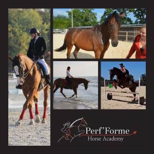 Perf’forme horse academy - écurie de compétition cso/dr