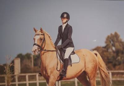 Chevaux de couleur a vendre Equirodi France