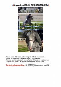 A vendre poney b jimlik des bertaines