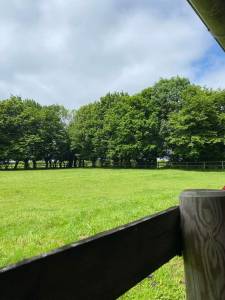 L'écurie d'alb - pension chevaux 76220 beauvoir-en-lyons