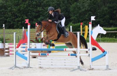 Poney de sport à vendre 