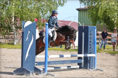 Poney de concours, maitre d'école, 131 cm