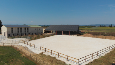 Pension box-terrasse/box-paddock