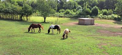 Pension pré - crussend'horse (24260 journiac)