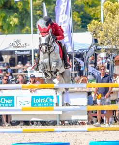 Poney de grand prix