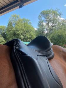 Selle de dressage