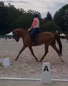 Oldenbourg 11 ans - dressage 