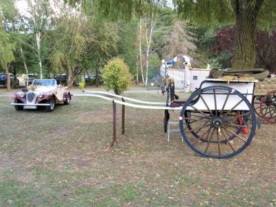 Carriage - Calèche Fenix Carriages  