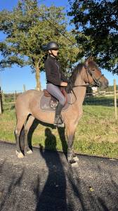 Ponette nf de 4 ans - 140 cm - gentille et facile 