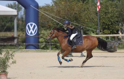 Super poney pour enfant et débuter le cso