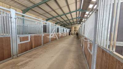 Propiedad ecuestre en venta allier
