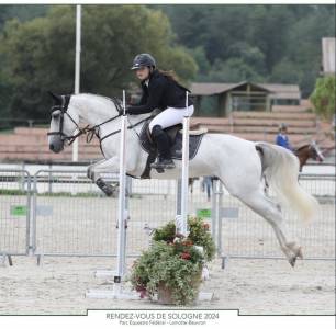 Poney de sport 