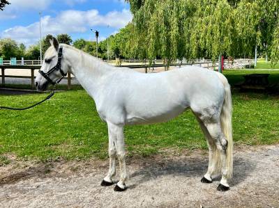 Ponette de sport cso