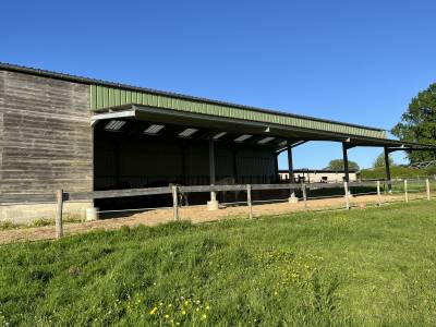 Pension retraite chevaux